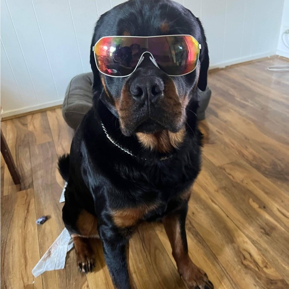 Meet your Posher, Jacob - Picture 1 of 1